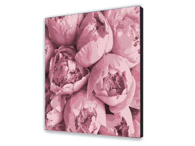 Картина за номерами з лаком ArtCraft квіти "Розовая нежность" 40х40 см 13103-AC