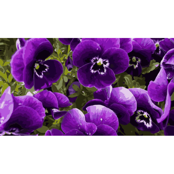 Картина за номерами "Фіалкова ейфорія" 40х50 см 13108-AC