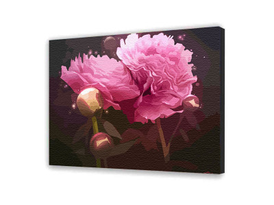 Картина за номерами "Чарівні півонії" 40х50 см 12123-AC