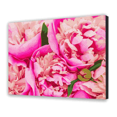Картина за номерами з лаком ArtCraft квіти "Рожева Mary" 40х50 см 12131-AC
