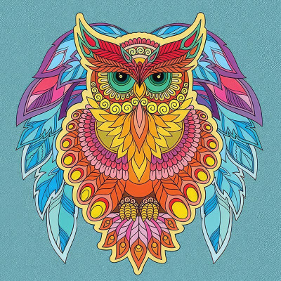 Набір для розпису-антистрес Strateg Сова 30х30 см JCEE36812