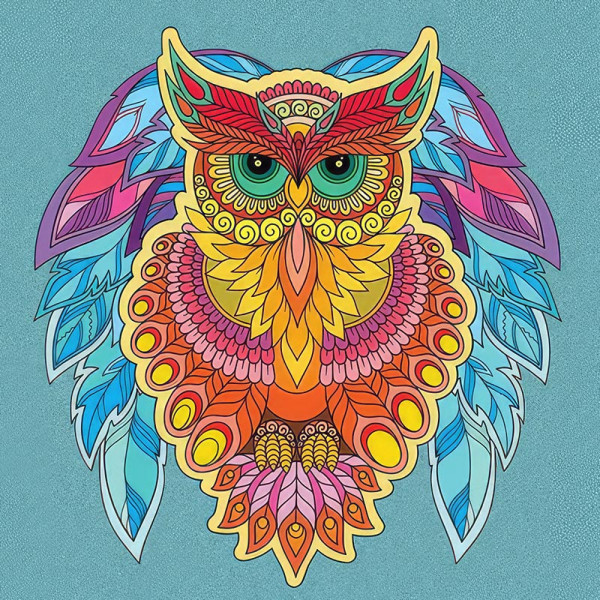 Набір для розпису-антистрес Strateg Сова 30х30 см JCEE36812