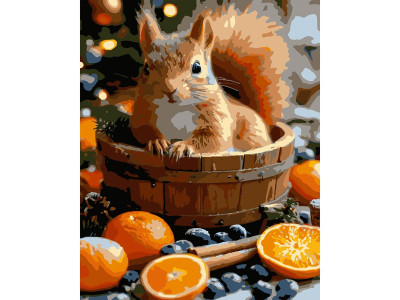 Картина за номерами Stateg Білка з апельсинами 40х50 см VG010