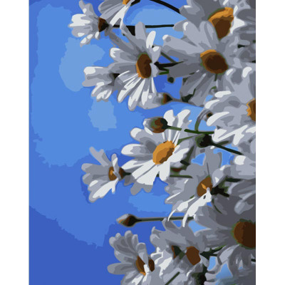 Картина за номерами Stateg Ромашки та небо 40х50 см GS1067