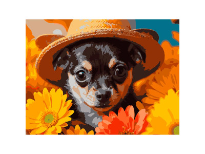Картина за номерами Strateg Пес у соломяному капелюсі 30Х40 см SS-1311