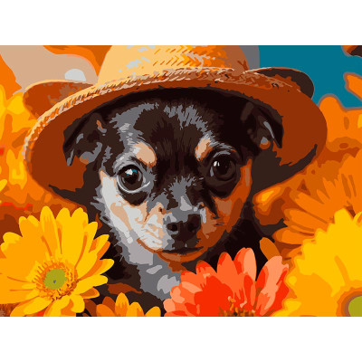 Картина за номерами Strateg Пес у соломяному капелюсі 30Х40 см SS-1311