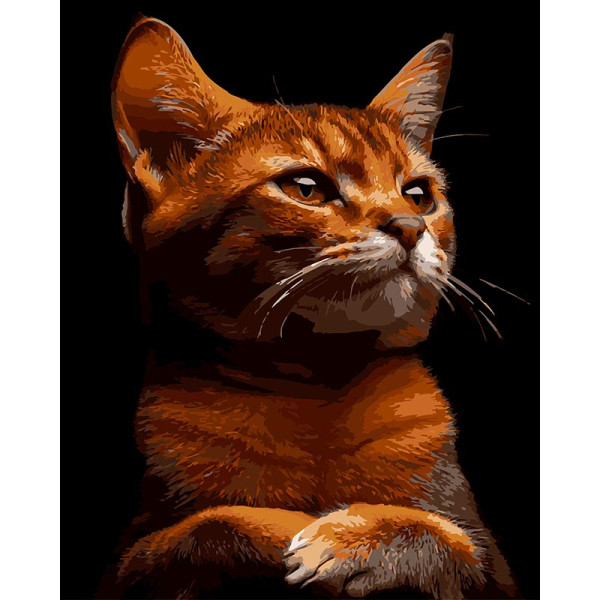 Картина за номерами Strateg Рудий характер на чорному фоні 40Х50 см AH1244