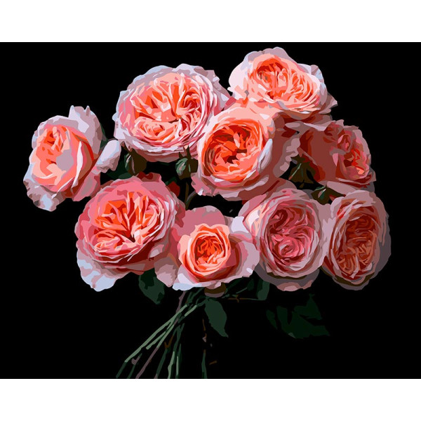 Картина за номерами Strateg Рожеві квіти на чорному фоні 40Х50 см AH1256