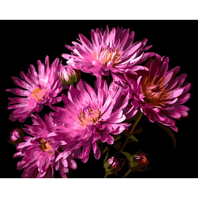 Картина за номерами Strateg Оксамит жоржин на чорному фоні 40Х50 см AH1267