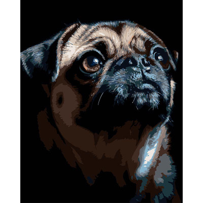 Картина за номерами Strateg Портрет мопса на чорному фоні 40Х50 (AH1290) AH1290