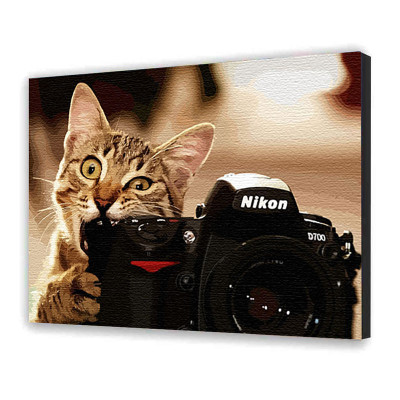 Картина за номерами "Пухнастий фотограф" 40х50 см 11608-AC Картина за номерами "Пухнастий фотограф" 40х50 см 11608-AC