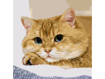 Картина за номерами Замучений котик Strateg 40х40 см SK015