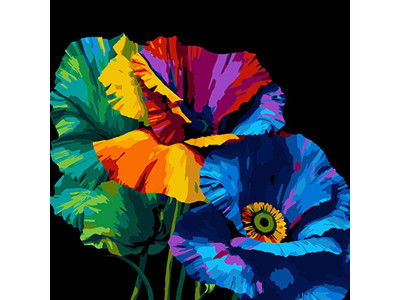 Картина за номерами Веселка маків Strateg на чорному фоні 40х40 см AV4040-77