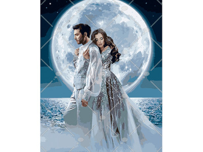 Картина за номерами Під місячним сяйвом 40*50 КНО4552