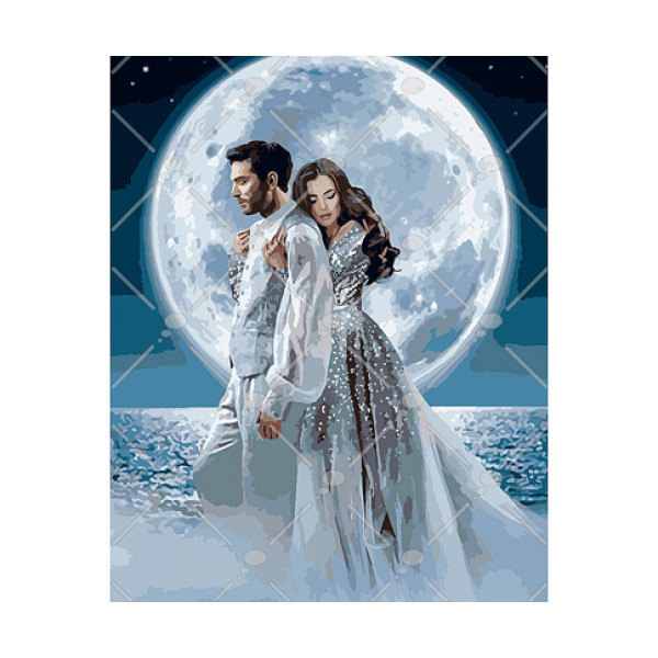 Картина за номерами Під місячним сяйвом 40*50 КНО4552
