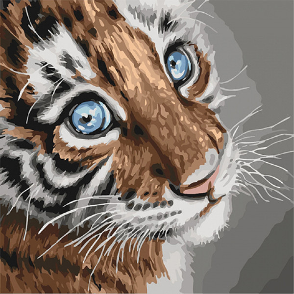 Картина за номерами "Тигреня" 40х40 см КНО4145