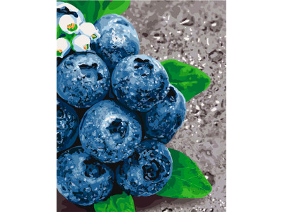 Картина за номерами "Соковиті ягоди" КНО5581