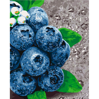 Картина за номерами "Соковиті ягоди" КНО5581