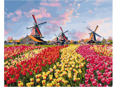 Картина за номерами Барвисті тюльпани Голландії 40 КНО2224