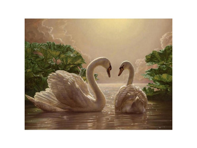 Картина за номерами Пара лебедів 40*50 КНО301