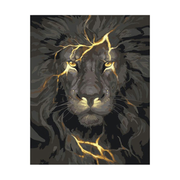 Картина за номерами Вогняне світло 40*50 КНО4078