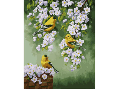 Картина за номерами "Зяблики на яблуні" 40*50 см. КНО2427