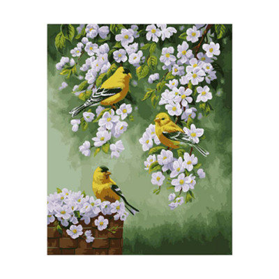 Картина за номерами "Зяблики на яблуні" 40*50 см. КНО2427