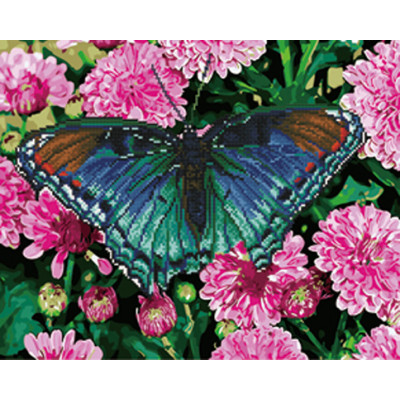 Картина за номерами та алмазна мозаїка 2 в 1. Rainbow Art "Метелик у квітах GZS1032 Картина за номерами та алмазна мозаїка 2 в 1. Rainbow Art "Метелик у квітах GZS1032