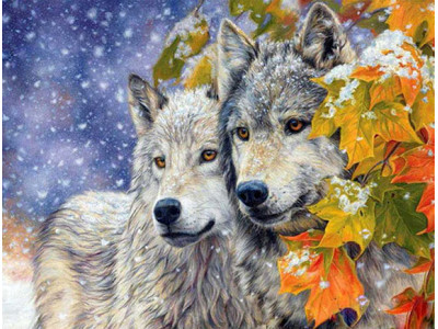 Картина за номерами "Пара вовків" тм Лавка Чудес 40 x 50 см у коробці LC20001