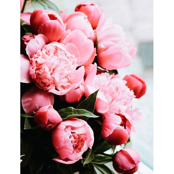 Рожеві півонії LC40002 Рожеві півонії LC40002