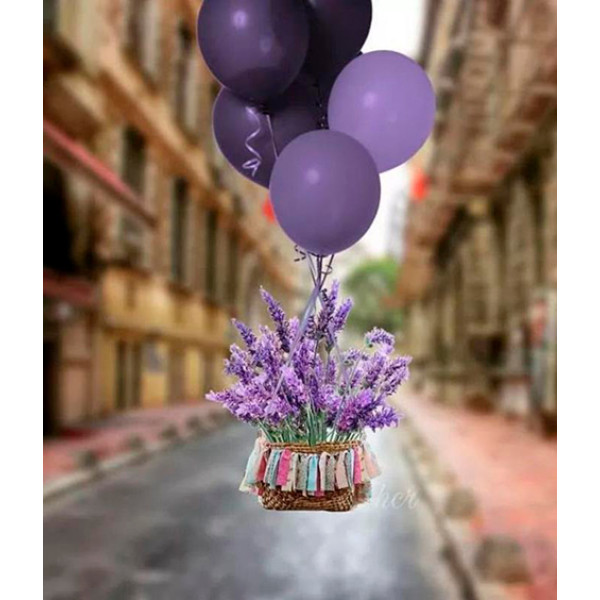 Картина за номерами "Повітряний бузок" LC40033