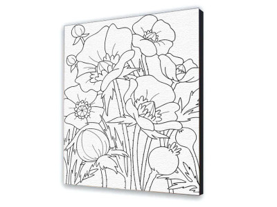 Картина за номерами "Маки" 25х30 см 15506-AC