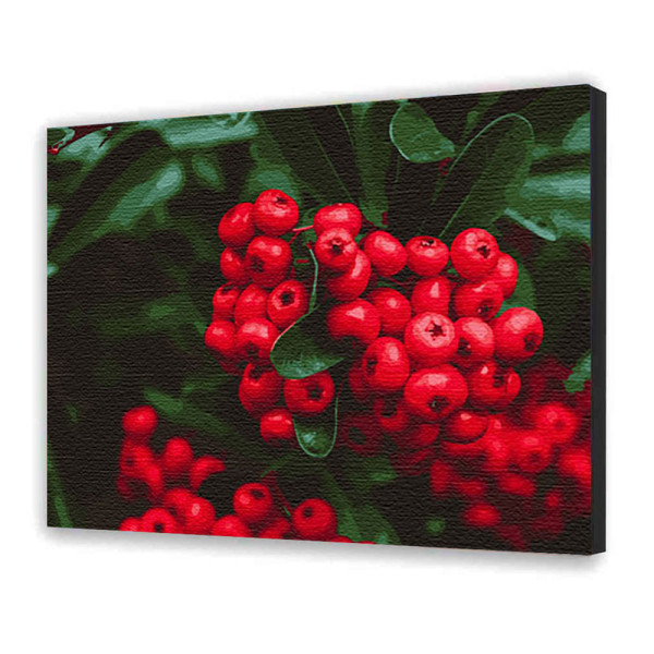 Картина за номерами "Червоні ягоди" 40х50 см 12011-АС