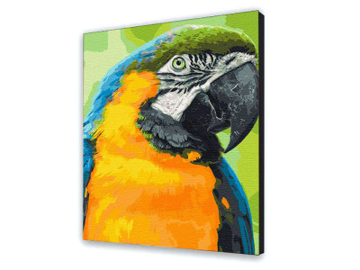 Картина за номерами "Папуга Ара" 40*50 см 11643-AC