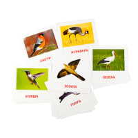 Карточки мини "Птицы" (110х110 мм) UA-ENG 72753