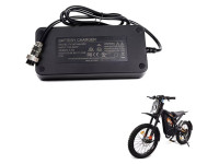 54.6V 4.5A Fast Charger for GT-2000 eBike