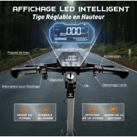 Електросамокат CRUZZER T3-MAX