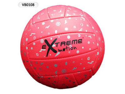 М'яч волейбольний VB0108