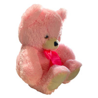 Мяка іграшка Ведмідь Боник 35 см 0217_Pink-Pink Мяка іграшка Ведмідь Боник 35 см 0217_Pink-Pink