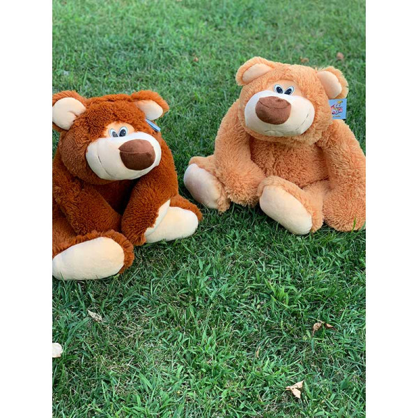 Мяка іграшка Ведмідь Федір 50 см 0173