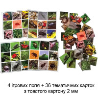 Настільна гра Супер ЛОТО "Комахи" 4820121181947 Настільна гра Супер ЛОТО "Комахи" 4820121181947