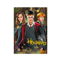 Пазл Dodo Medium-S «Harry Potter. Гаррі та друзі» 250 елементів 200498