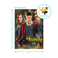 Пазл Dodo Medium-S «Harry Potter. Гаррі та друзі» 250 елементів 200498