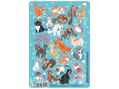 DODO Пазл з рамокою "Кошенята" 53 елементи R300180