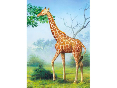 Пазл 60 елементів 06397