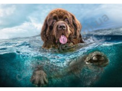 Пазл "Пес у воді" 1000 елементів 103478