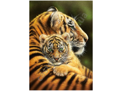 Пазли "Тигри" 500 елементів 52448