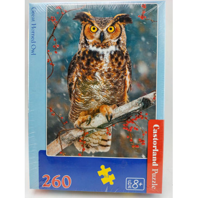 Пазли "Сова" (260 елементів) 27347