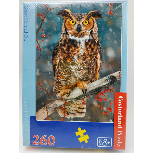 Пазли "Сова" (260 елементів) 27347