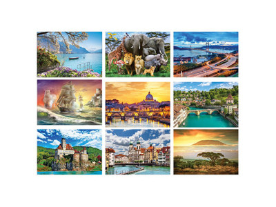 Пазли 1000 елементів 10 видів C1000-10-01020304...10